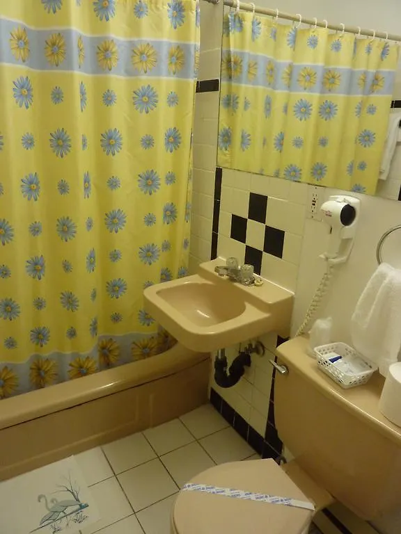 Hotel Viger Montreal 2*,